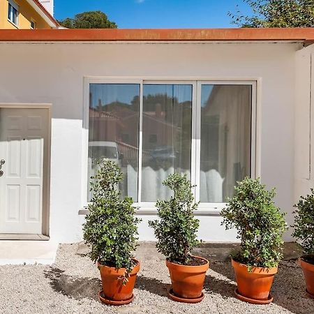 Sintra Studio Garden - Free Parking Zewnętrze zdjęcie